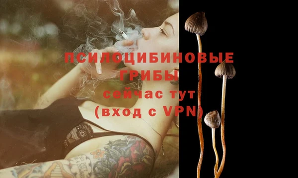 дурь Кулебаки