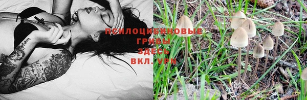 спайс Кукмор