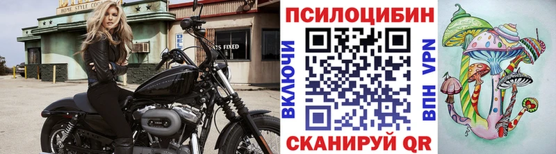 Купить закладки  Касимов  Галлюциногенные грибы мухоморы 